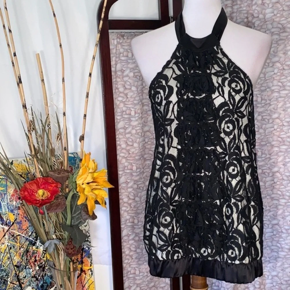 Lu Lu Lame black lace with white lining halter top. - Picture 3 of 15